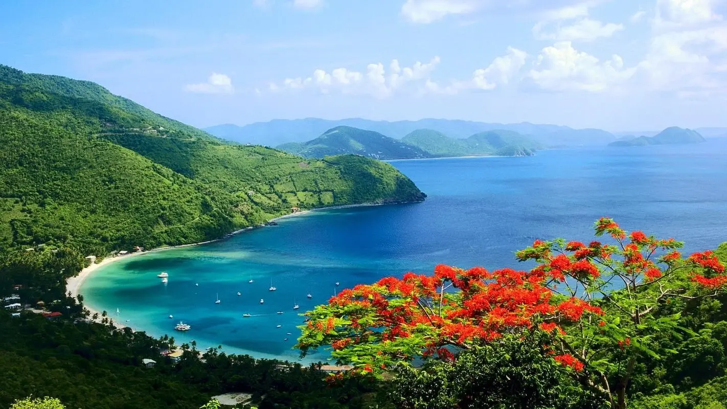 节能智慧全自动